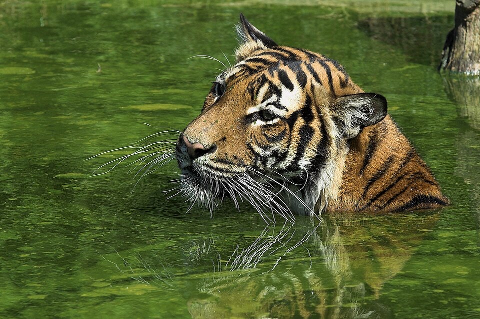 Zoo Dortmund